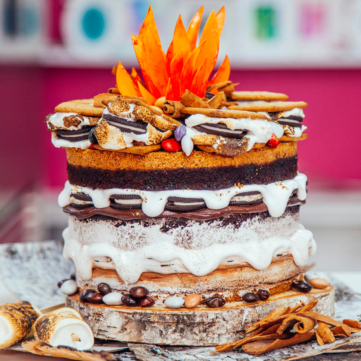 Easy S'mores Camping Cake - for Beginner Bakers